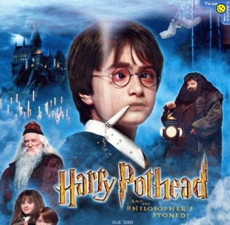 harry