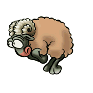 mouton